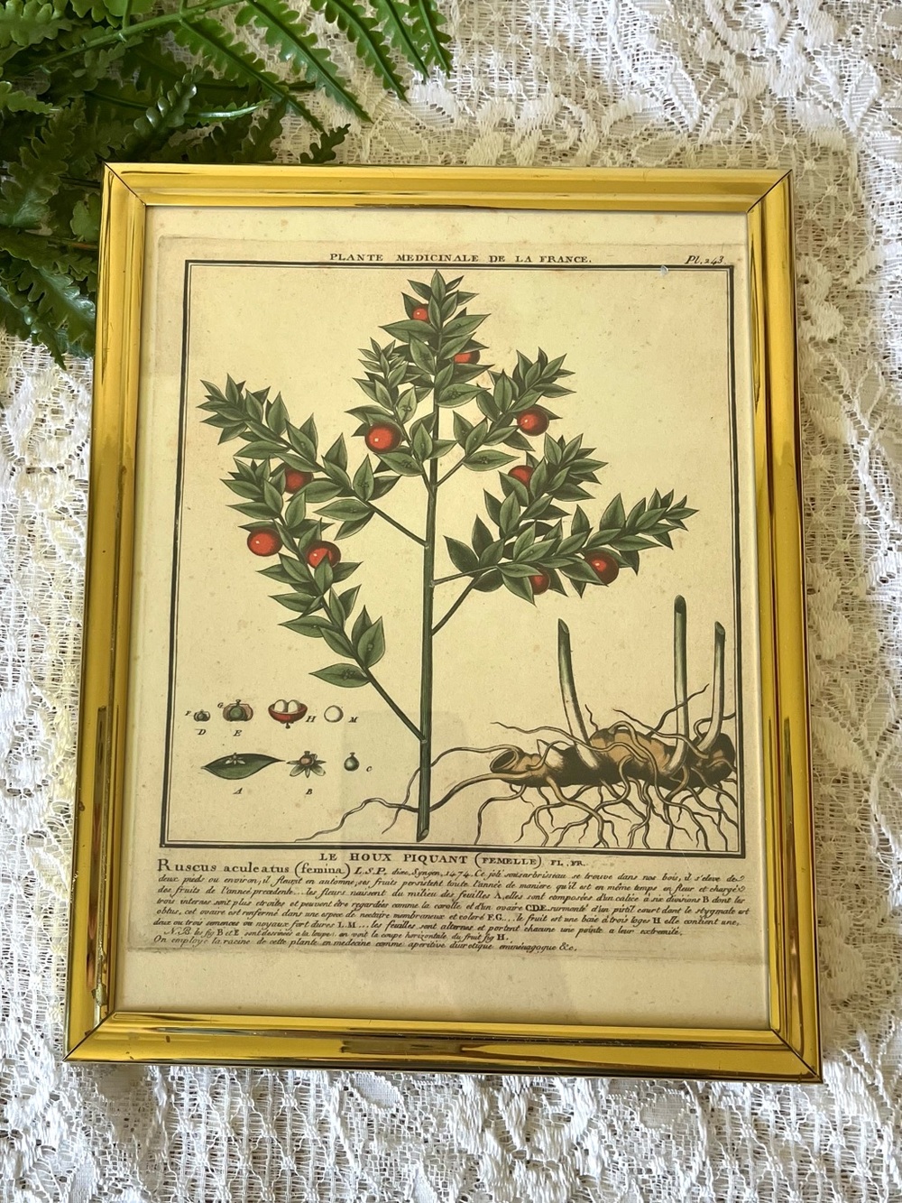 Vintage Solid Brass Framed Holly Decor 8x10